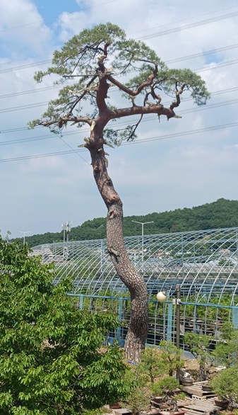 db03e74404cc26244f5eb10804b215bd_1782445932_7577.jpg