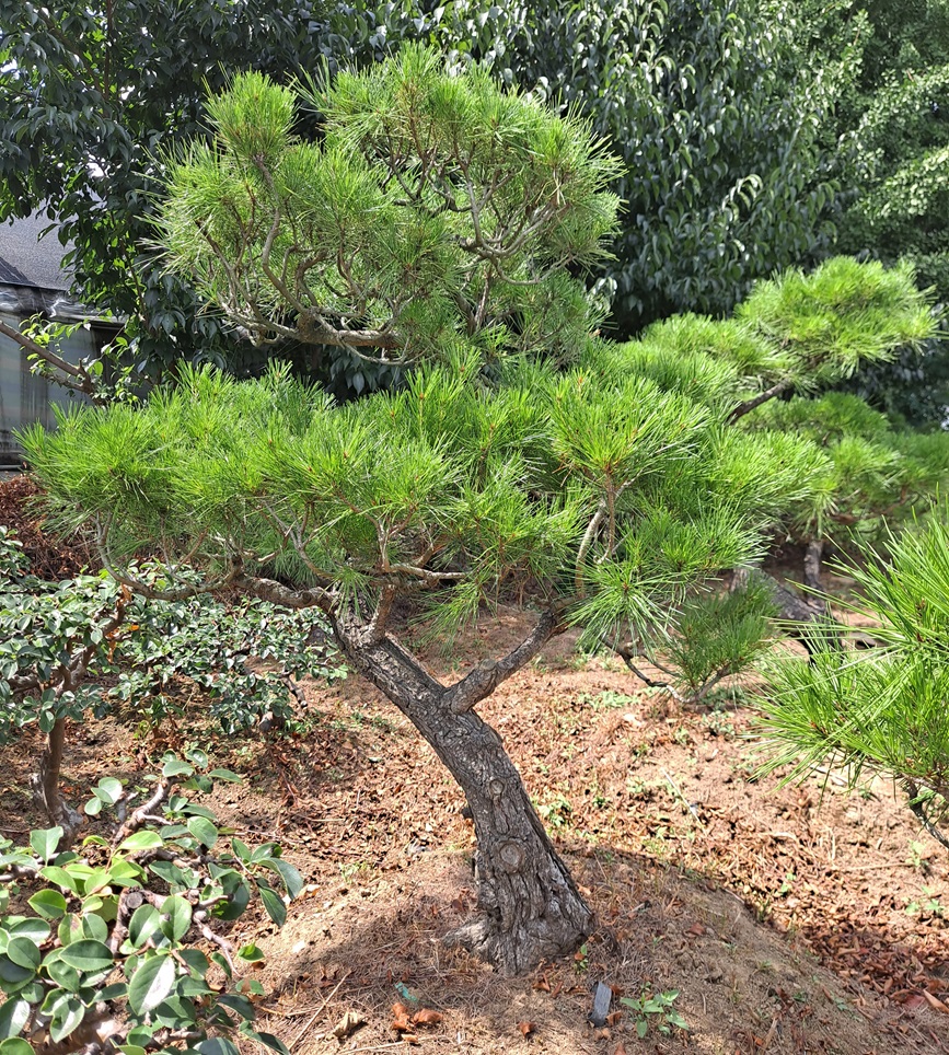 db03e74404cc26244f5eb10804b215bd_1782454648_21.jpg
