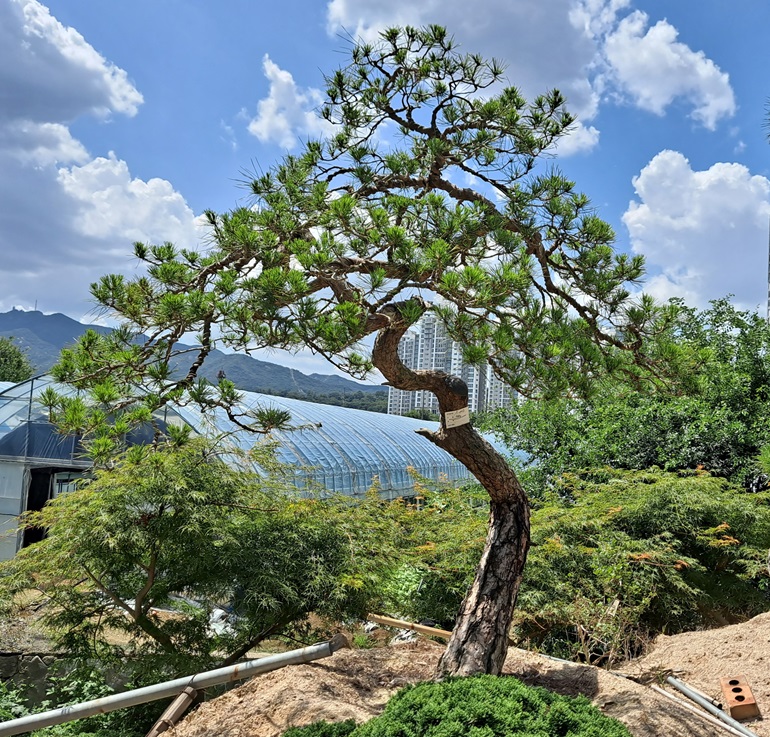 db03e74404cc26244f5eb10804b215bd_1782457546_5487.jpg