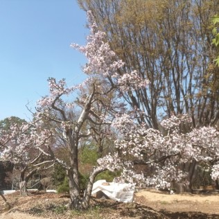 수사해당1