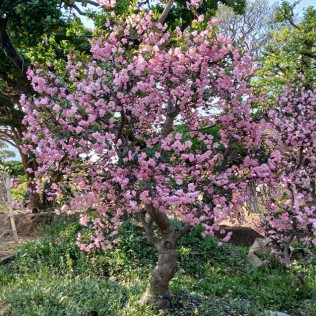 수사해당2
