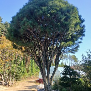 반송4