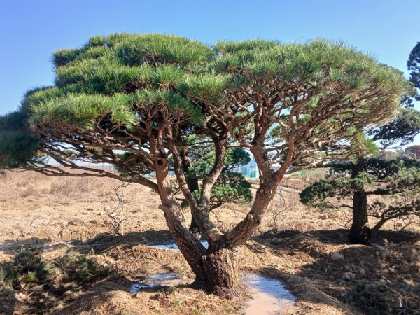 반송5