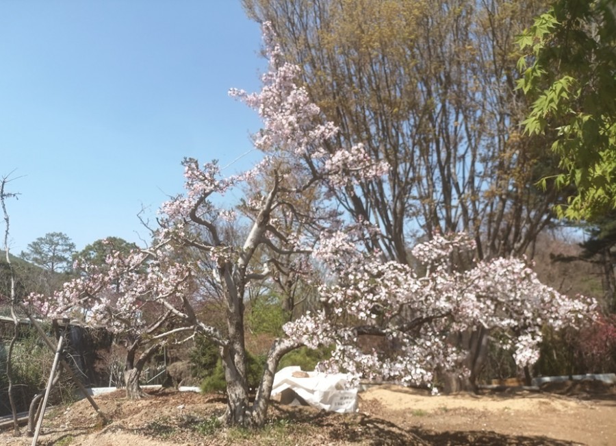 수사해당1