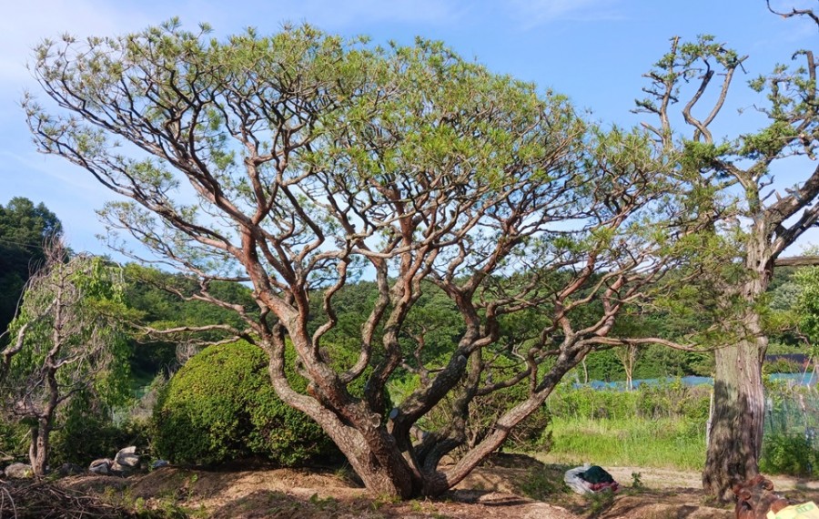반송2