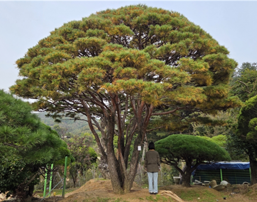 반송1