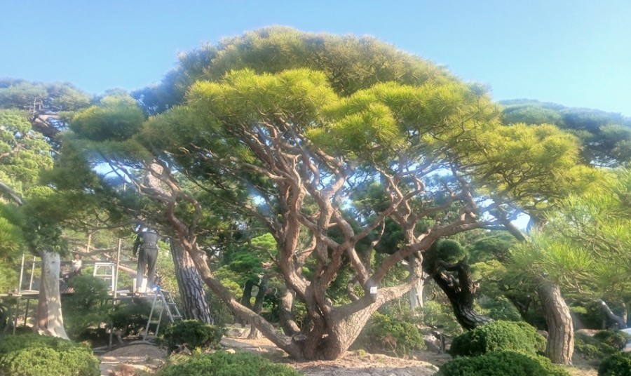 반송2