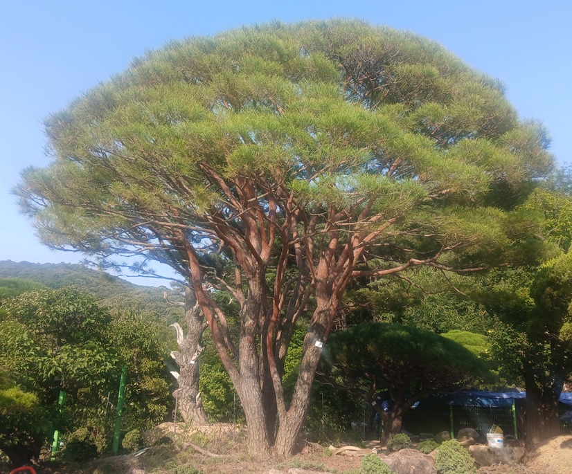 반송1